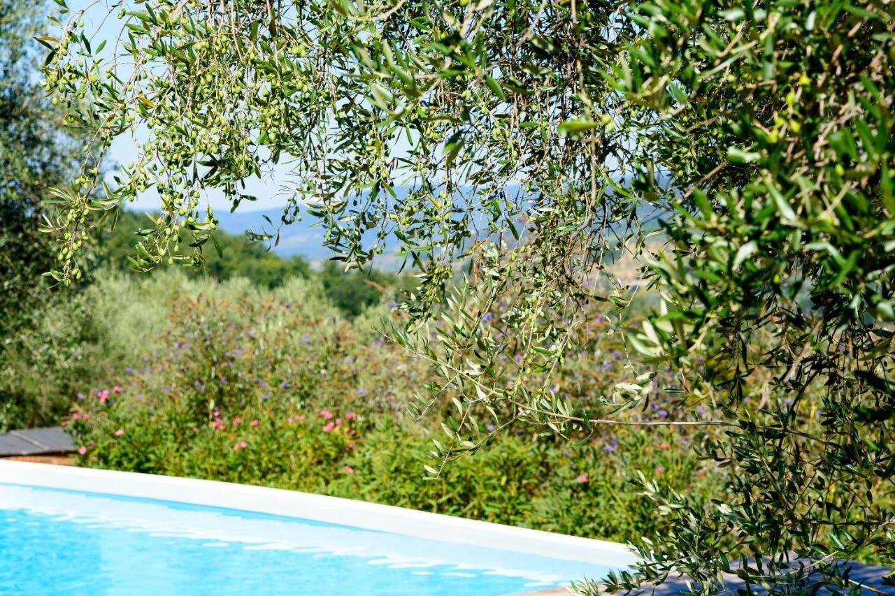 Agriturismo La Pieve Pelago Luaran gambar