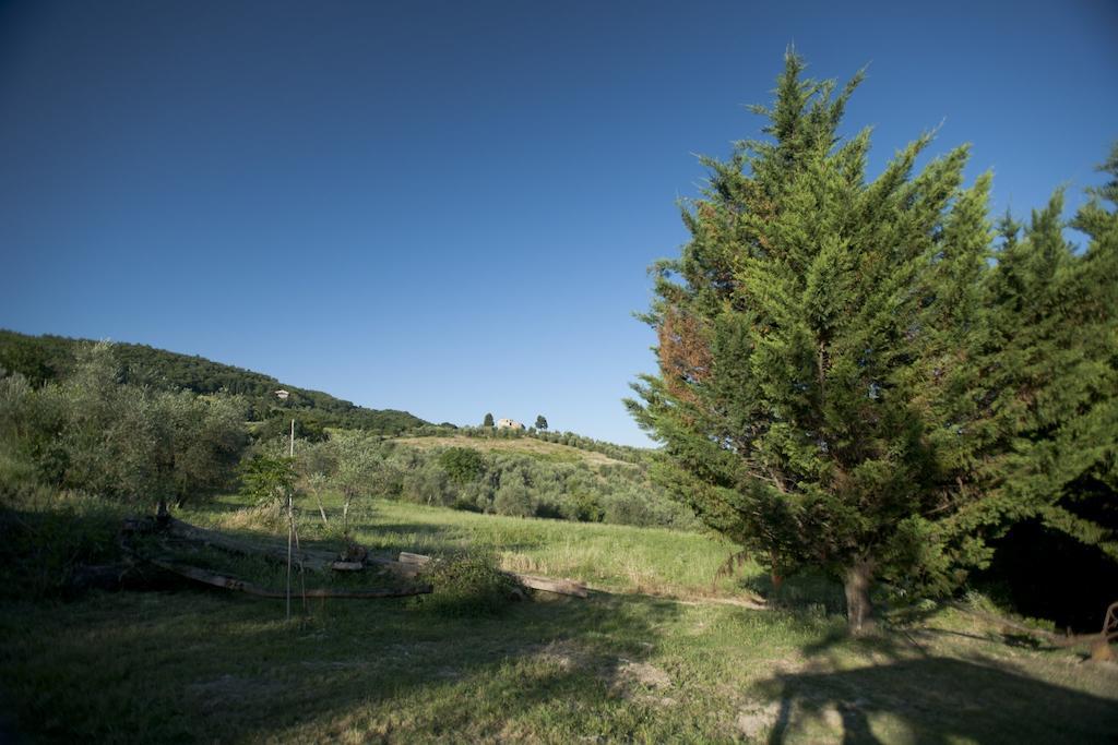 Agriturismo La Pieve Pelago Luaran gambar